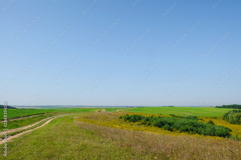 Field road among hills with rapeseed and forest. Ukrainian nature. Copy space. Field road among hills with rapeseed and forest. Ukrainian nature. Copy space.