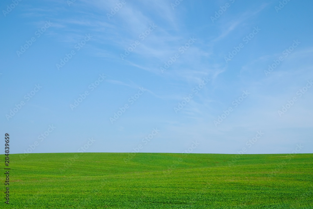 Green field hills isolated on sky background. Ukrainian nature. Copy space. Copy space. Green field hills isolated on sky background. Ukrainian nature. Copy space. Copy space.