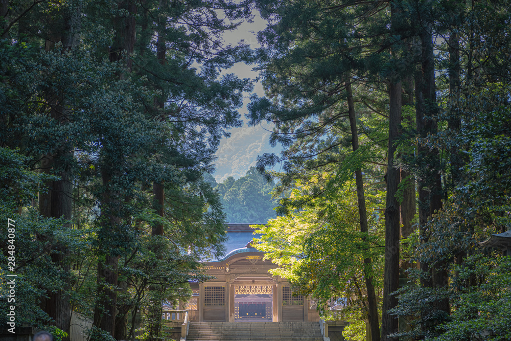 新潟 弥彦神社 随神門と美しい参道