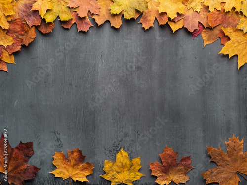 Seasonal autumn background. Frame of colorful maple leaves.