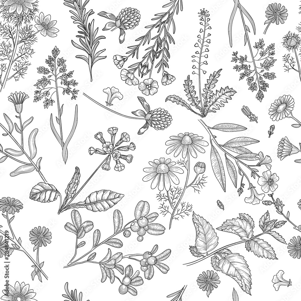 Herbs pattern. Medical plants flowers and herbs nature extracts vector seamless background. Floral medical, natural pattern extract illustration - obrazy, fototapety, plakaty 