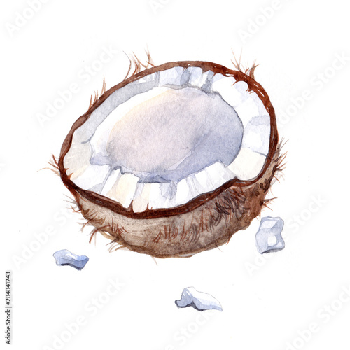 Watercolor single coconut tropical food nut isolated on a white background illustration