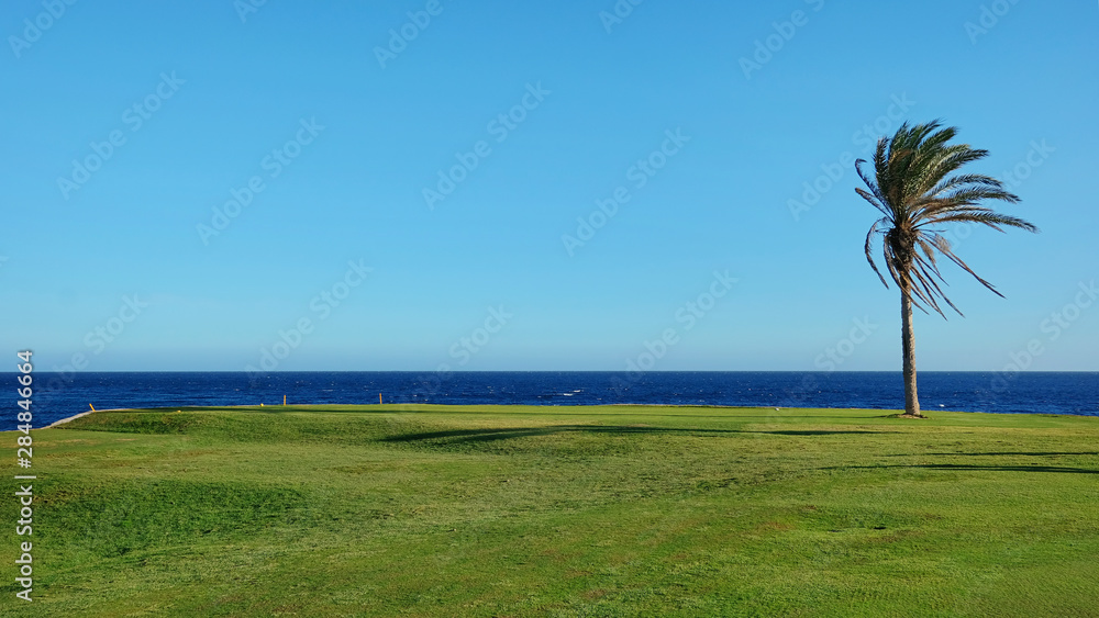 Beautiful tropical golf course fairway at the edge of the Atlantic Ocean, with palm trees, blue sky and neat green grass, concept for leisure activity in an exotic destination or home away from home Beautiful tropical golf course fairway at the edge of the Atlantic Ocean, with palm trees, blue sky and neat green grass, concept for leisure activity in an exotic destination or home away from home