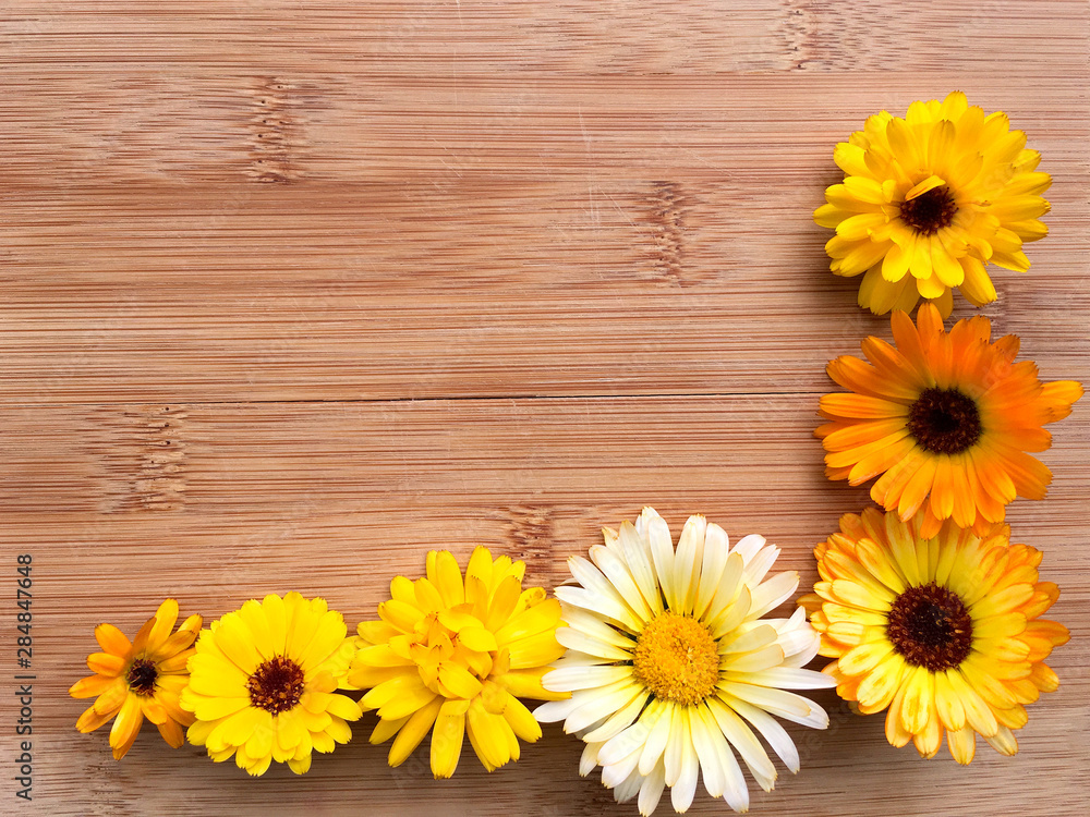 Obraz premium Bright summer background of fresh orange flowers of medicinal calendula on a wooden background. Place for text or advertisement. Flat lay, close up