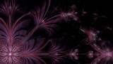 Abstract fractal background with large interconnected stars and space flowers with intricate decorative geometric pattern surrounding and connecting them in shining pink, violet