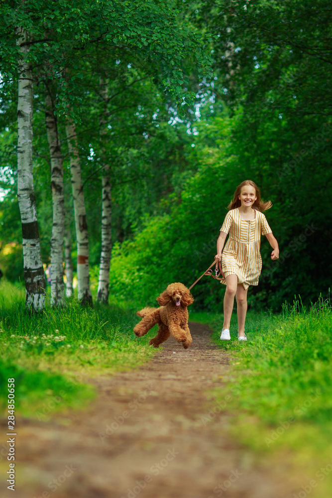 Little girl with a brown poodle dog, outdoor summer Little girl with a brown poodle dog, outdoor summer