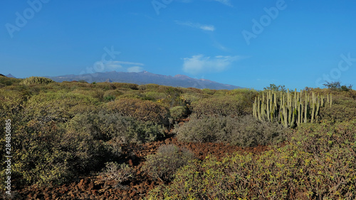 The coastal walk between Montana Amarilla and Amarilla Golf resort, a perfect solitary hiking path with stunning inland vistas towards Teide peak and towards Atlantic, Tenerife, Canary Islands, Spain