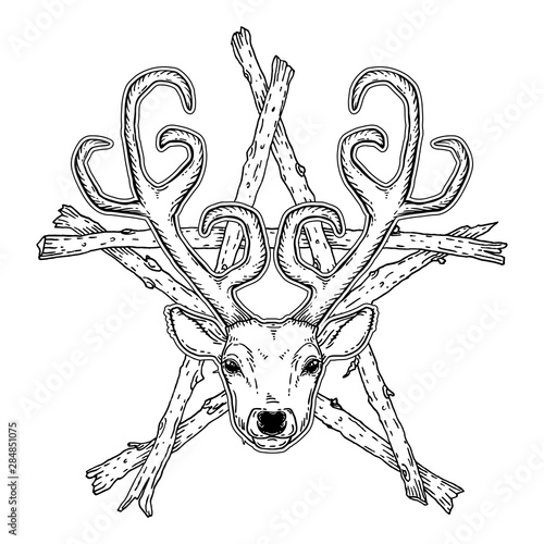 Hand drawn deer head over pentagram tribal style