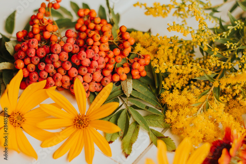  Red, orange and yellow autumn flowers on a white wooden background. autumn dry maple leaf. red rowan berries.