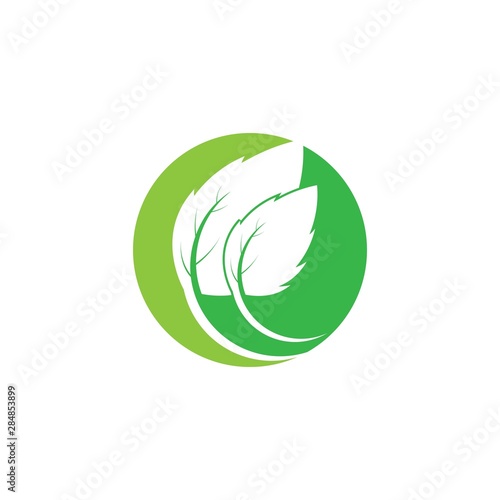 Eco icon green leaf vector illustration isolated. - Vector