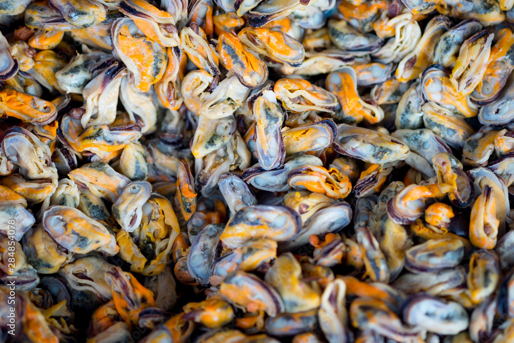 Raw material of fried mussel (hoy tod)