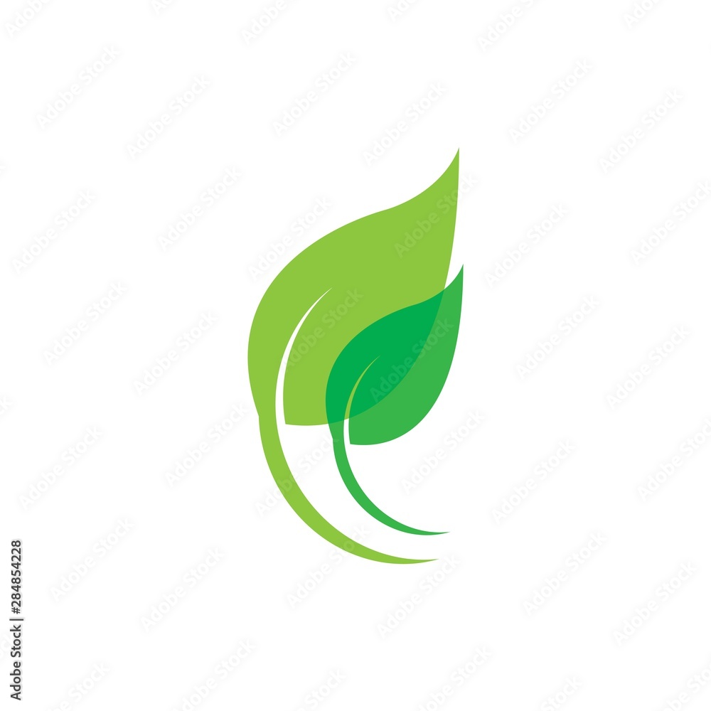 Eco icon green leaf vector illustration isolated. - Vector Eco icon green leaf vector illustration isolated. - Vector