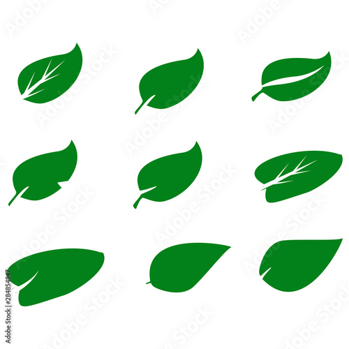 green leaf Vector icons set on white background