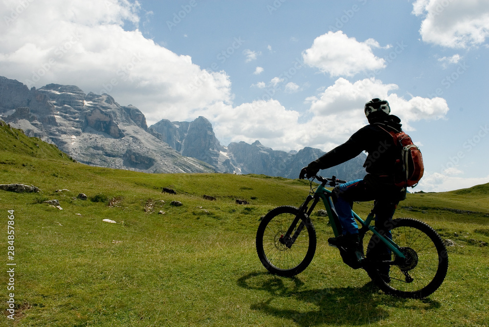  man with an electric bike, e-bike, ebike, observes mountains of Dolomites, Madonna di Campiglio, meadow, pasture, herd of cows grazing, summer, sport, travel, Alps, Trentino, Alto Adige, I