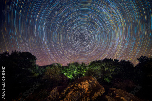 Star trails over the forest in Extremadura