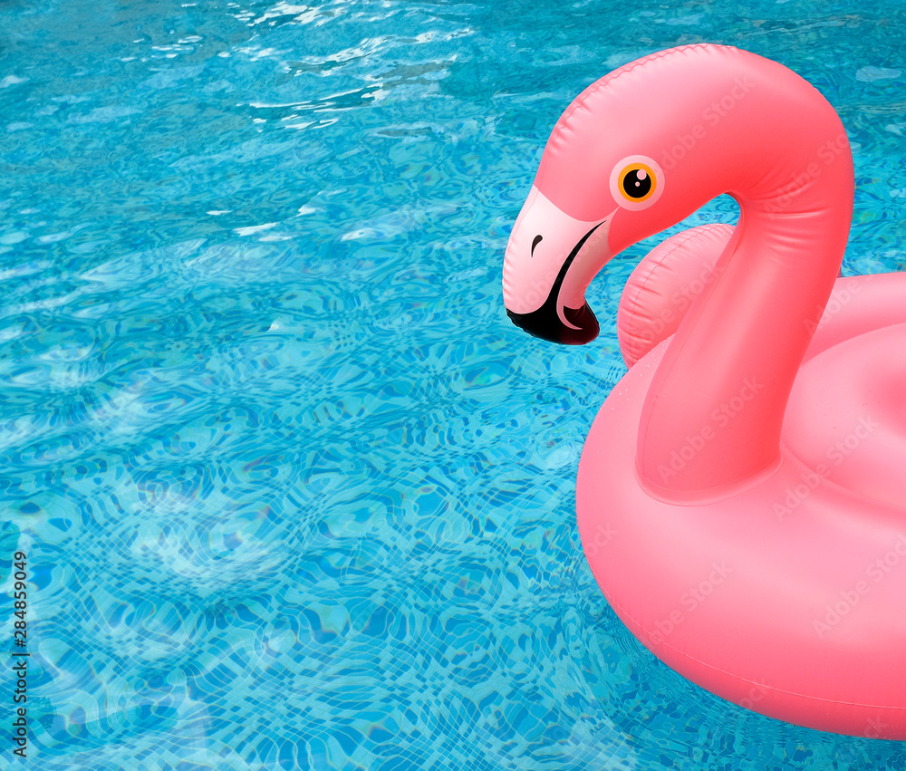 Inflatable pink flamingo float in bright blue pool water. Stock Photo |  Adobe Stock
