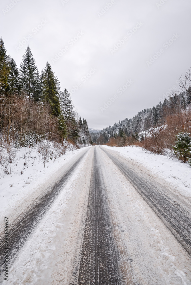 Fototapeta premium Winter landscape.