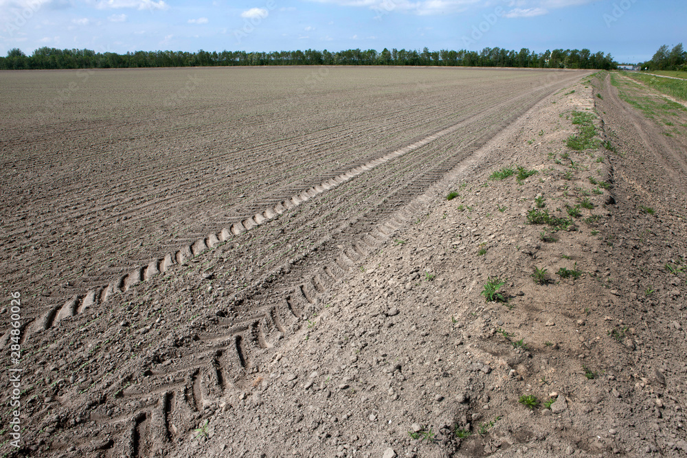 Field Netherlands agriculture Field Netherlands agriculture