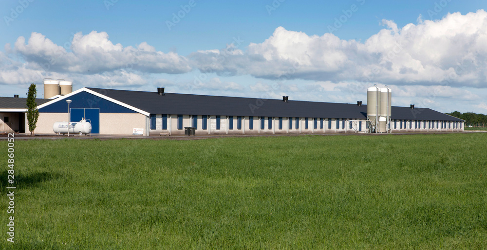 Modern Poultry barn Netherlands. Farming. Chicken stable. Silo.