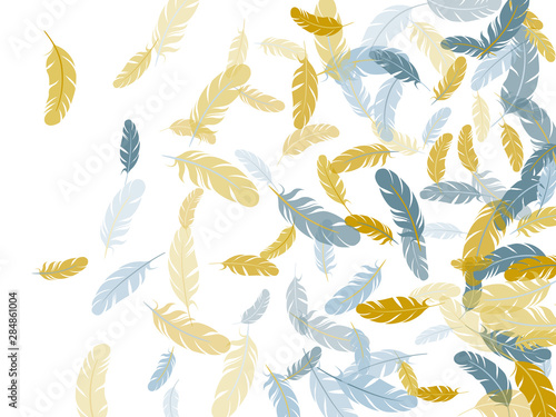 Flying feather elements airy vector design.