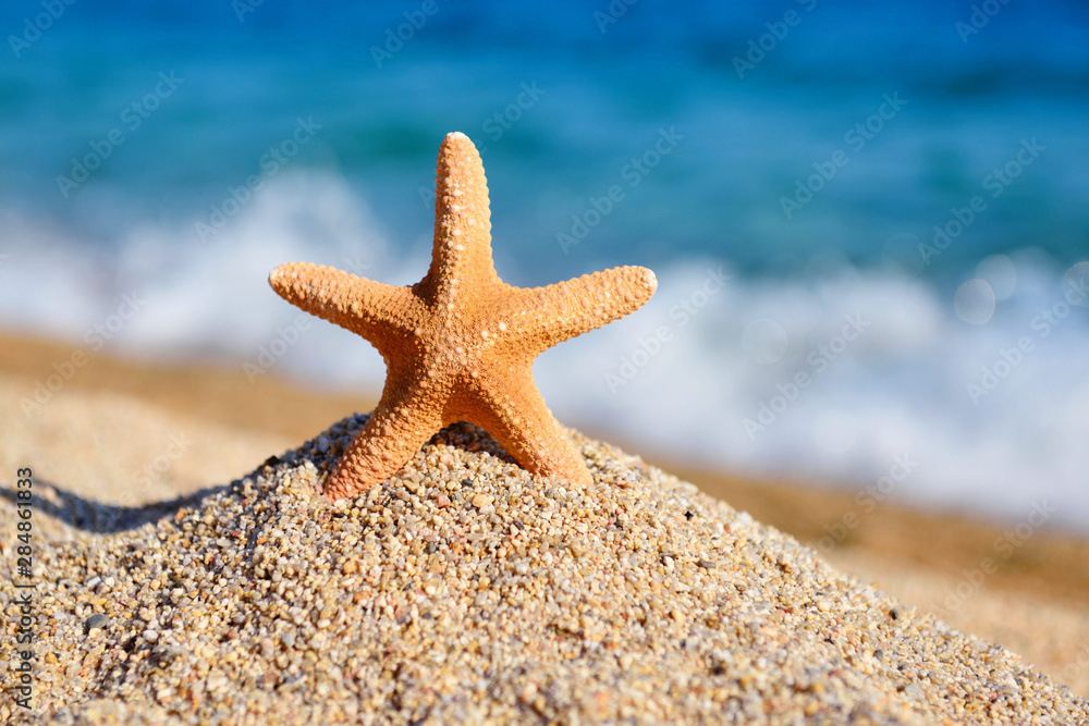 A starfish on the beach against the background of the sea and waves on a hot sunny day A starfish on the beach against the background of the sea and waves on a hot sunny day