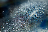 Water drops macro from a plastic bottle fifty megapixels