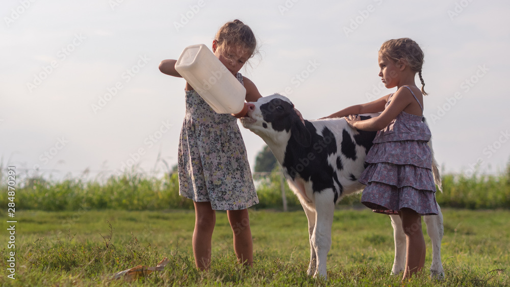 Φωτογραφία Authentic shot of two little girls are feeding from the bottle with dummy an eco