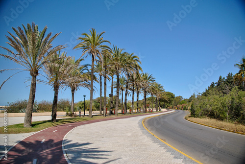 seaside street with palm trees in Andalusia in Spain