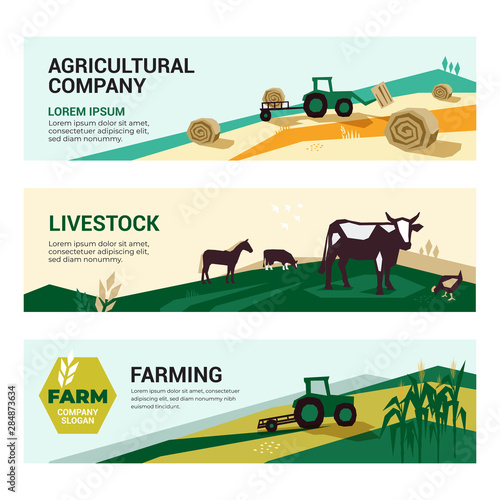 Set of illustrations with agriculture, farming,livestock, harvest. Illustrations of a tractor, hayfield, haystack rolls, farm animals,cows and horse in pasture. Template for banner, annual report,web 