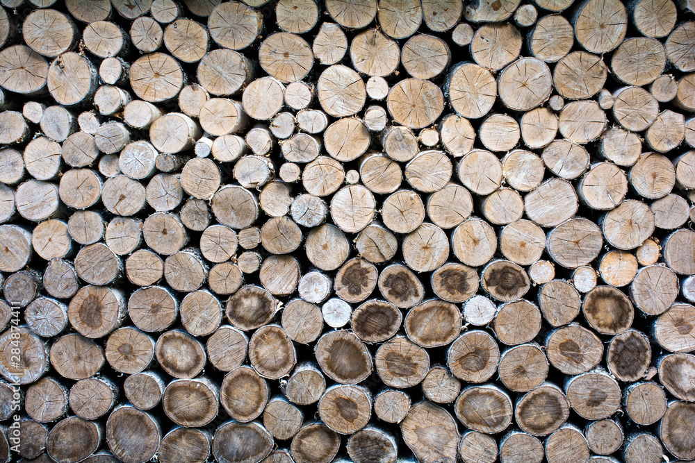 logging, felled trees for heating in winter. Abstract background. Wood texture logging, felled trees for heating in winter. Abstract background. Wood texture