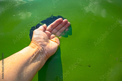Human hand polluted with blue-green algae. Water pollution by blooming Cyanobacteria is world environmental problem. Ecology concept of polluted nature.