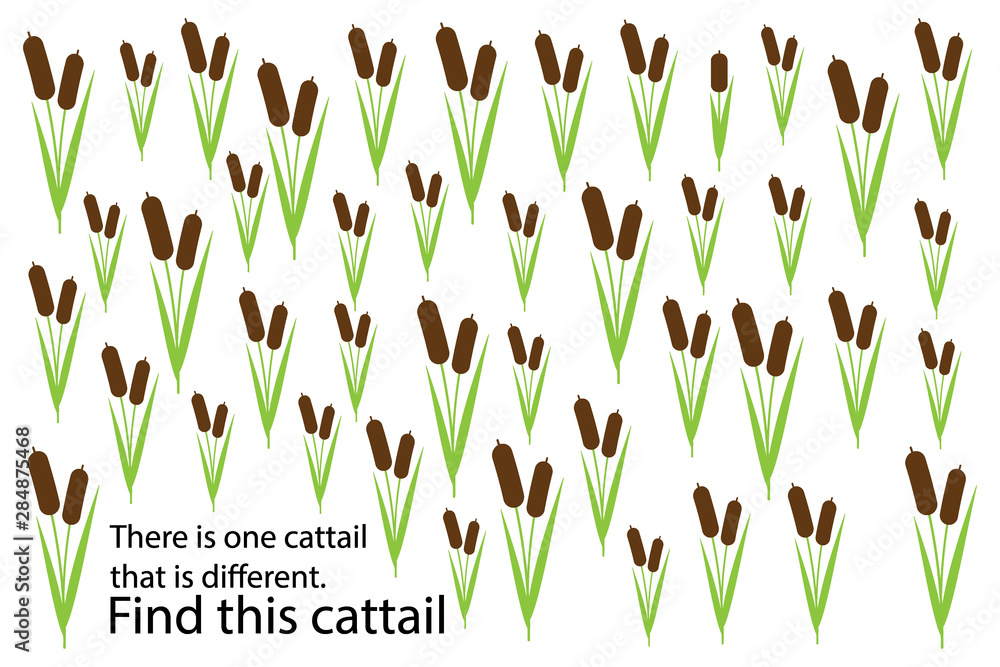 Find cattail that different, education puzzle game for children, preschool worksheet activity for kids, task for the development of logical thinking and mind, vector illustration - obrazy, fototapety, plakaty 