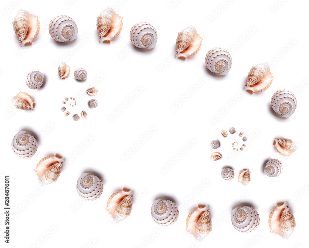 Pattern Sea natural shell, original pattern of marine life. Pattern Sea natural shell, original pattern of marine life.