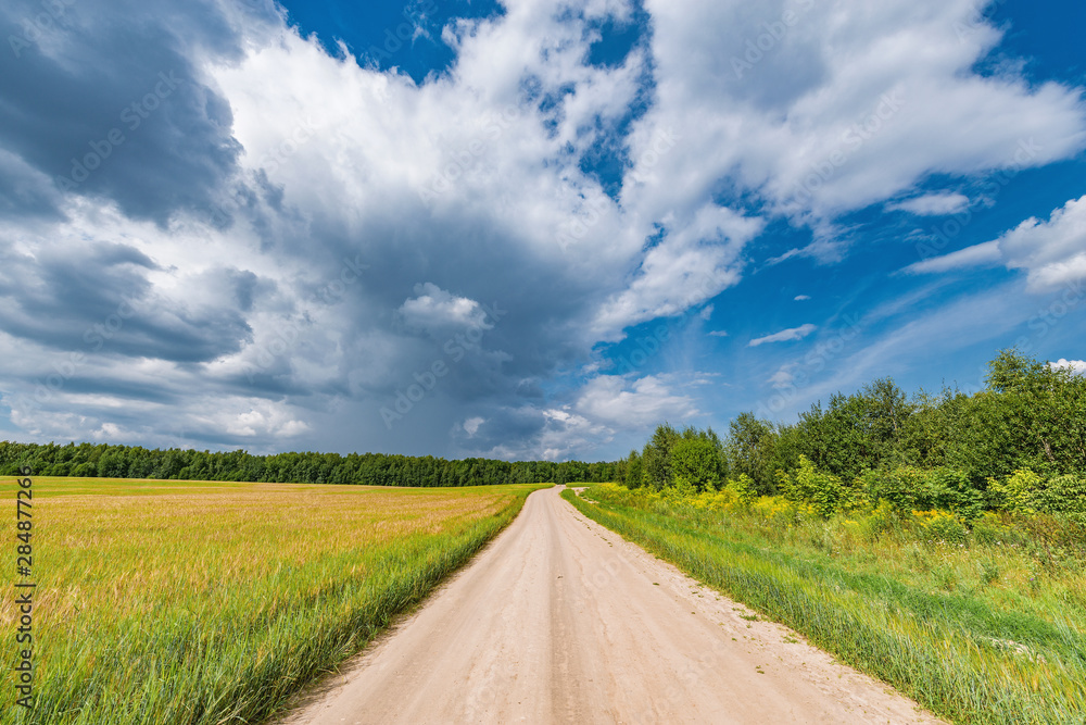 Field with rye and road at day time. Field with rye and road at day time.