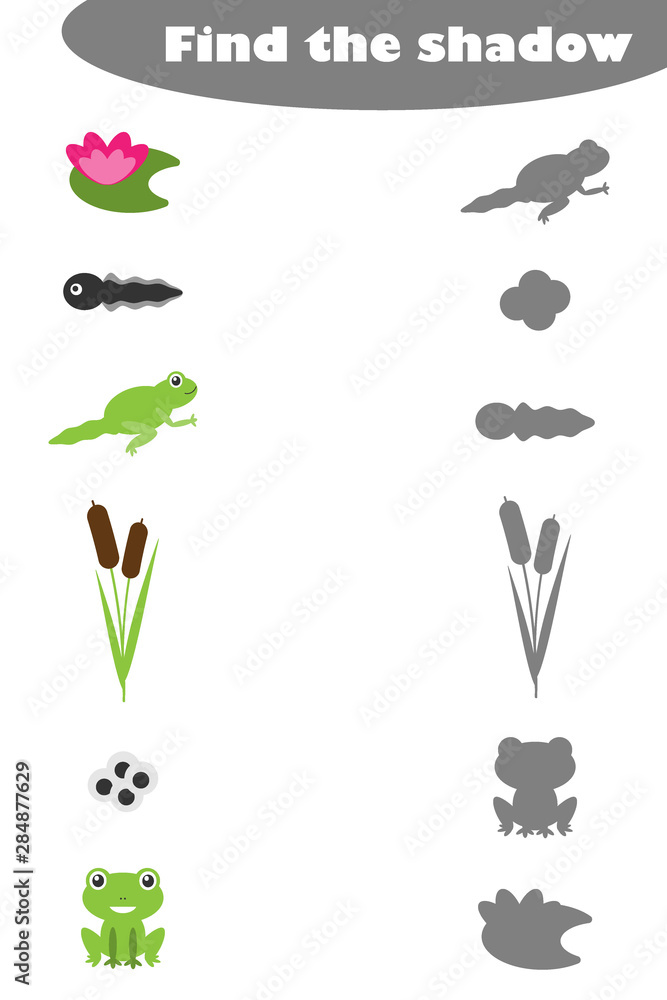 Find the shadow, game for children frog life cycle and pond in cartoon style, education game for kids, preschool worksheet activity, task for the development of logical thinking, vector illustration Find the shadow, game for children frog life cycle and pond in cartoon style, education game for kids, preschool worksheet activity, task for the development of logical thinking, vector illustration