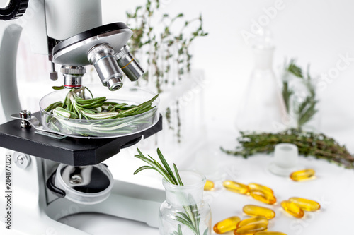 Food quality control in the laboratory rosemary