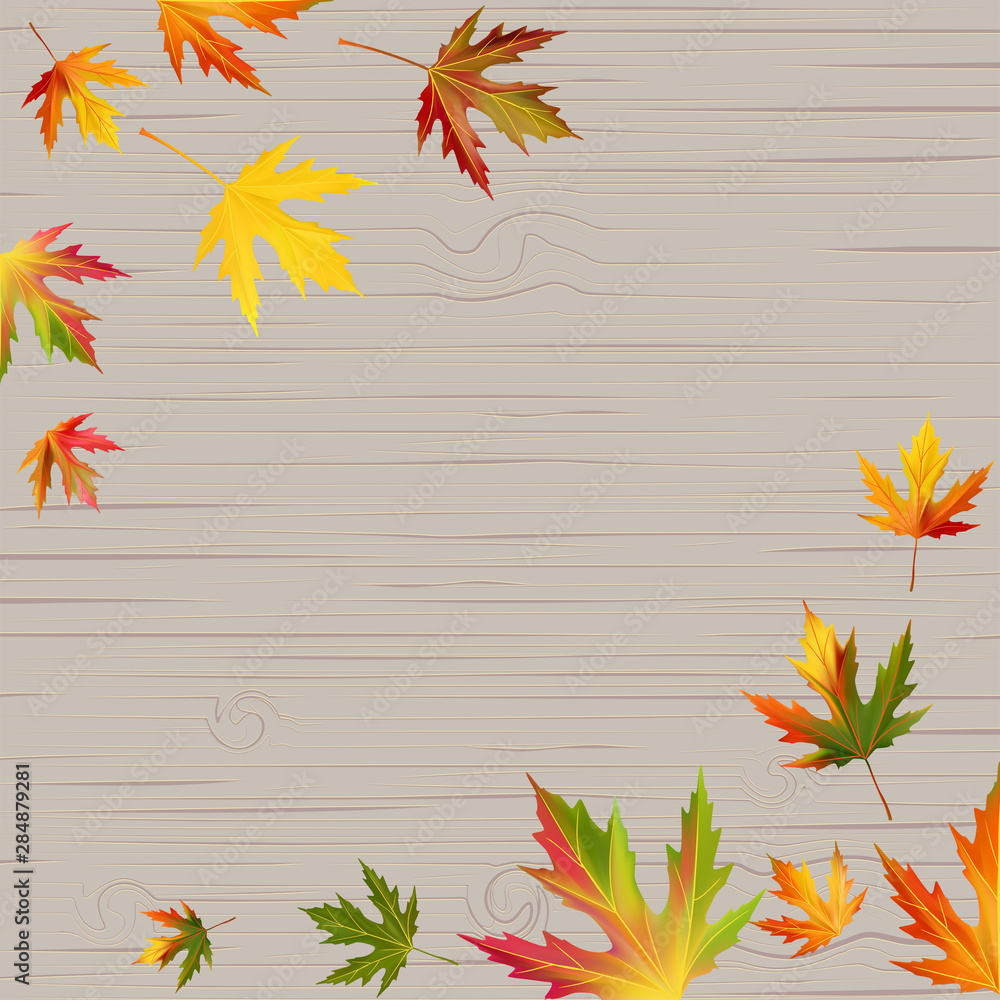 Maple leaves. Autumn background. Red. Wood texture. Yellow. Green. Vector illustration. Maple leaves. Autumn background. Red. Wood texture. Yellow. Green. Vector illustration.