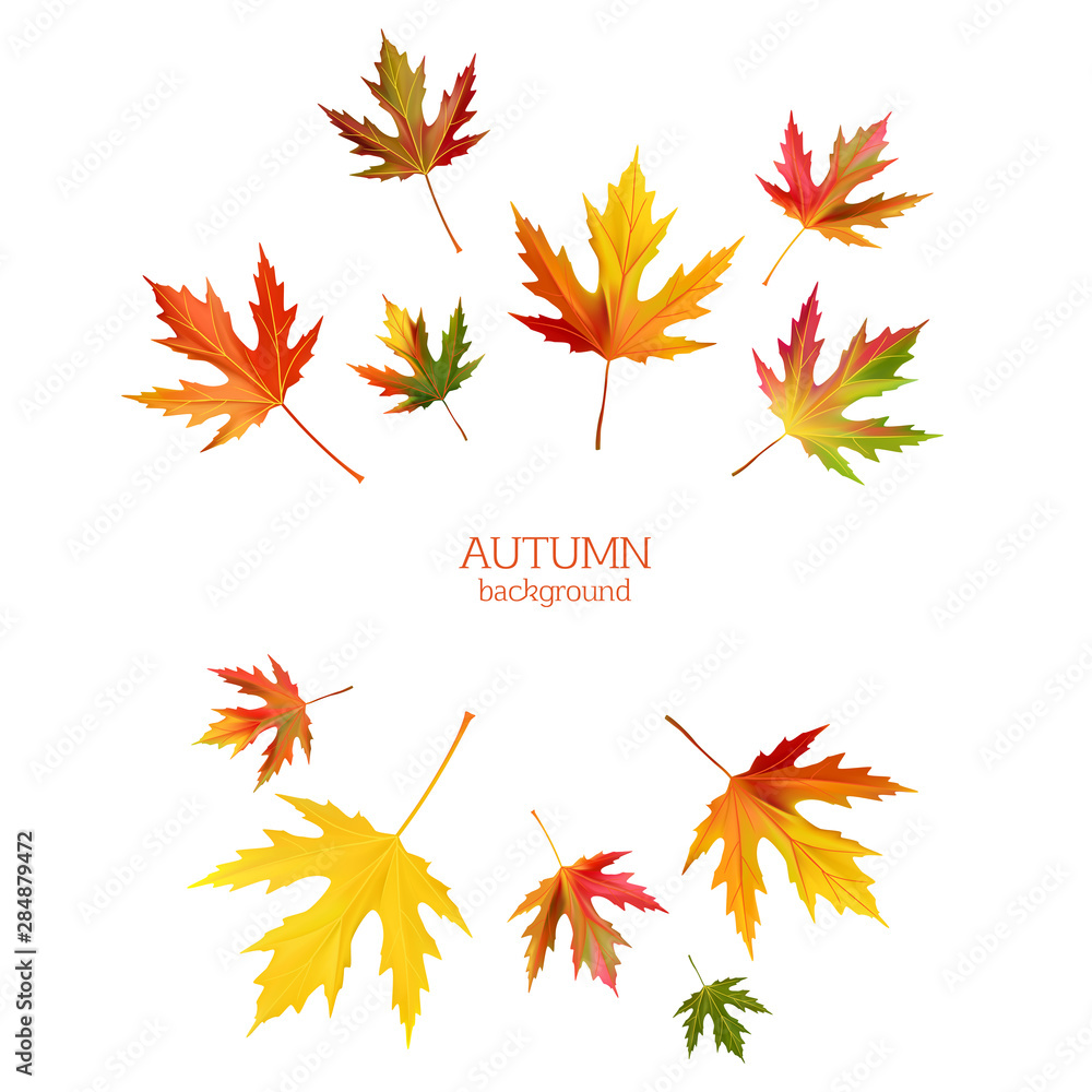 Maple leaves. Autumn background. Red. Yellow. Green. Vector illustration. Maple leaves. Autumn background. Red. Yellow. Green. Vector illustration.