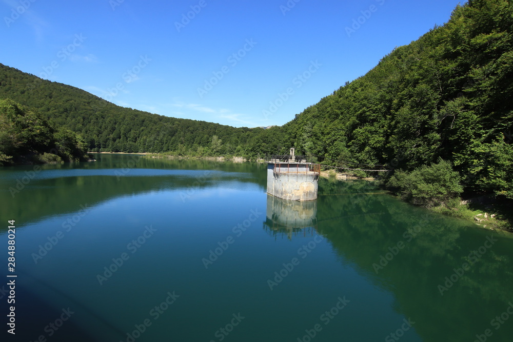 Fototapeta premium Selva Irati