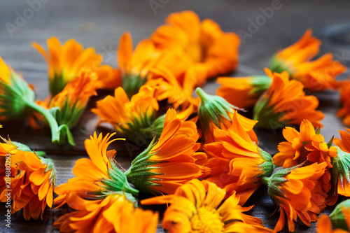 Calendula flowers laid out on a wooden background. Calendula officinalis medicinal plant petals - healthy concept © Vitalii Makarov