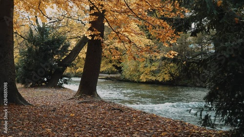 Real time shot of the rapid flow of the river. English garden in Munich. English garden in Munich is one of the largest city parks in the world