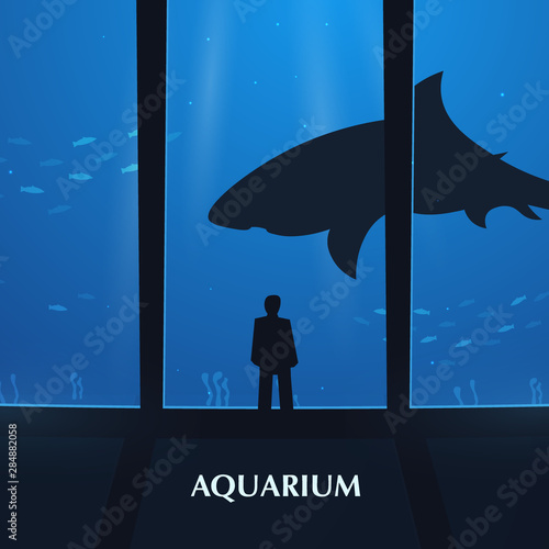 Big Aquarium, Oceanarium or Dolphinarium. People watching the underwater world.