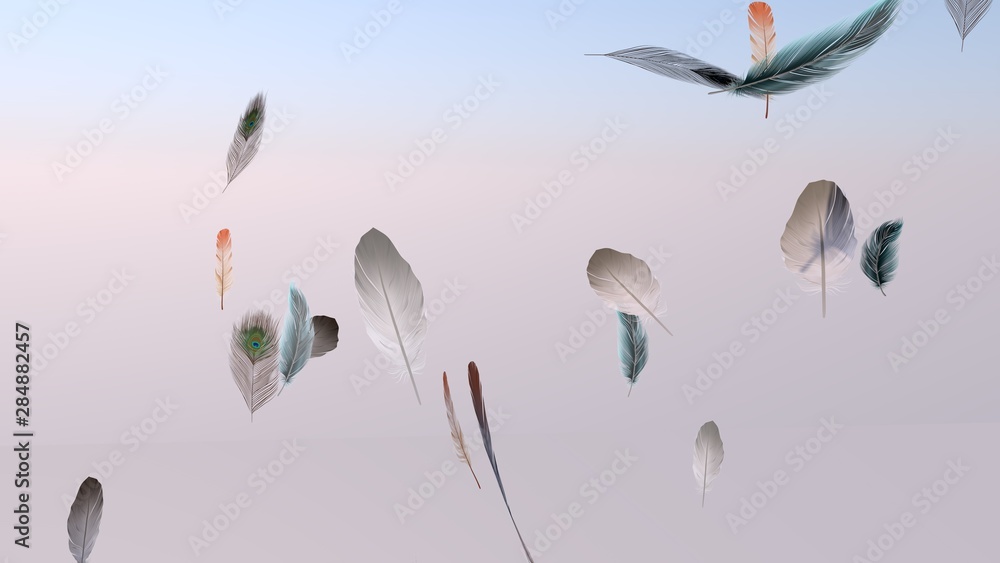 Soft silky feathers isolated with copy space for text and advertisement