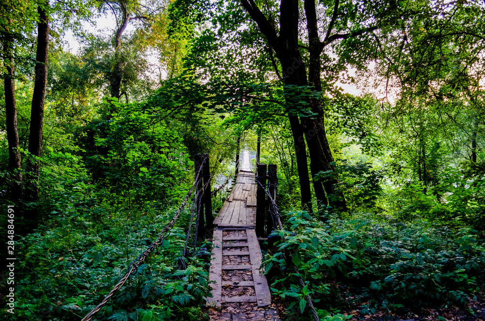 Suspension bridge near the Tenishevs estate (Khotylevo village, Bryansk). Suspension bridge in Khotylevo Suspension bridge near the Tenishevs estate (Khotylevo village, Bryansk). Suspension bridge in Khotylevo