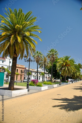 seaside street with palm trees in Andalusia in Spain