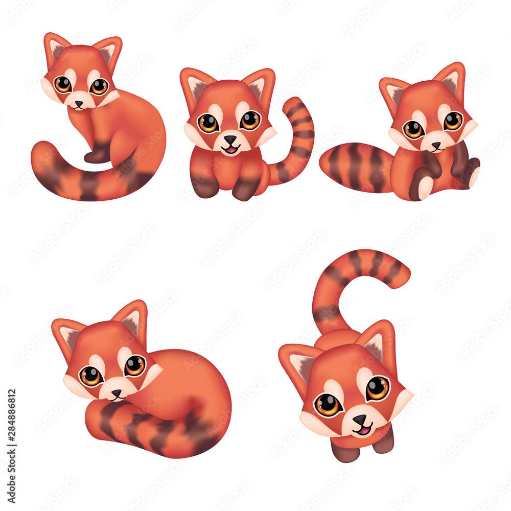 Set of cute red panda in different poses 