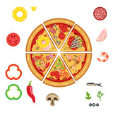 Slices of vector pizza isolated, havaii, capricciosa, neapolitan, seafood , pepperoni, vegetariana.
