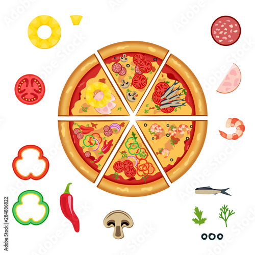 Slices of vector pizza isolated, havaii, capricciosa, neapolitan, seafood , pepperoni, vegetariana.