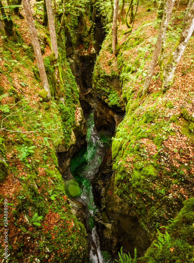 Beautiful turquoise blue water in the forest river. Mostnica gorge in national park Triglav in Slovenia. Beautiful turquoise blue water in the forest river. Mostnica gorge in national park Triglav in Slovenia.
