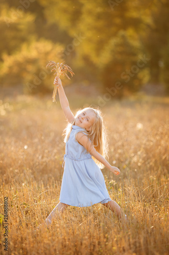 A little blonde girl is standing in a wheat field in summer with spikelets in her hands.